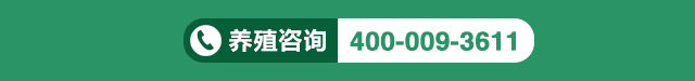 联系天成鸽业